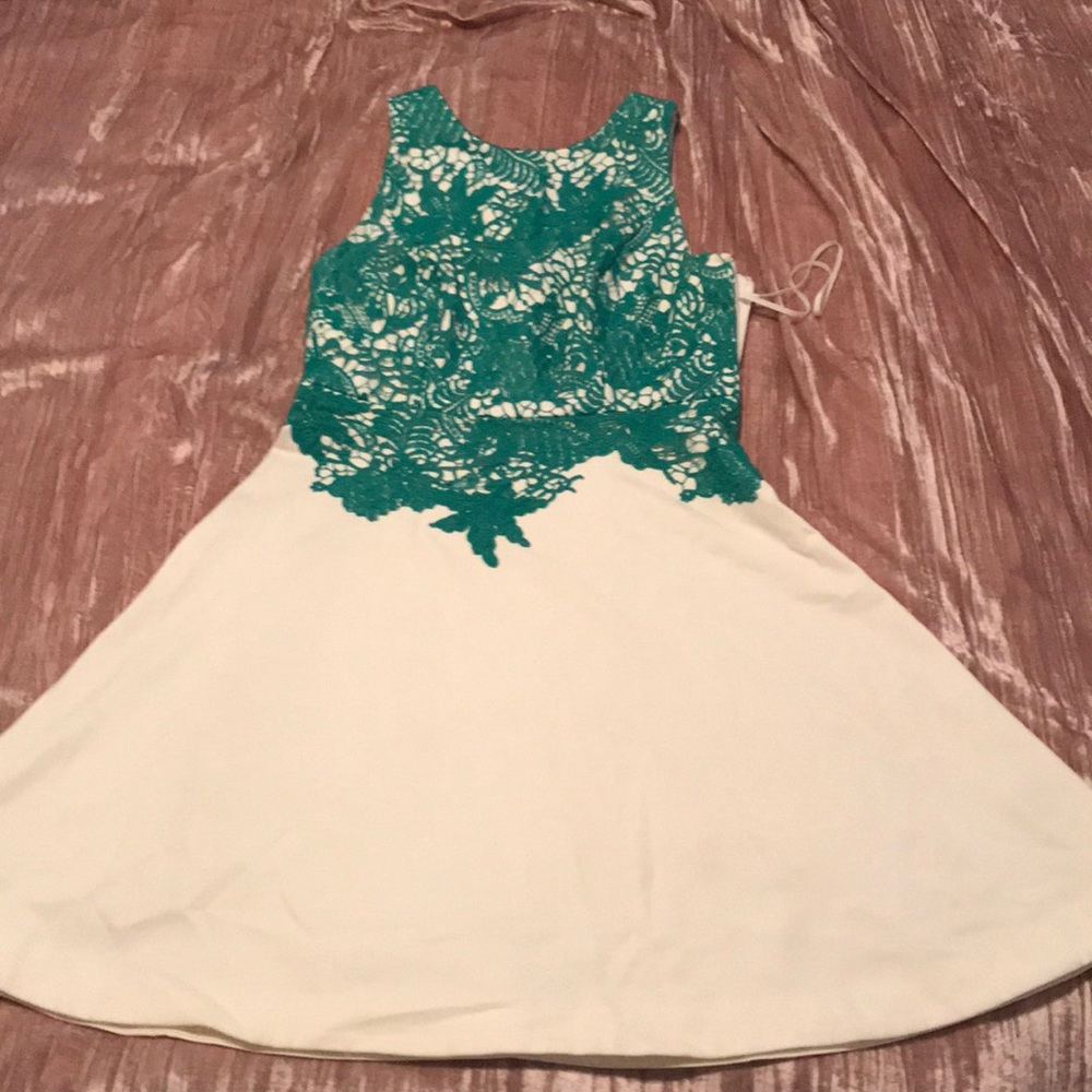 Gorgeous A Line dress from Anthropologie.Worn once